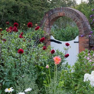 Brick Arch, Herbaceous Border 
Garden Design
Calimesa, CA