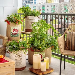 Balcony Vegetable Garden, Vegetable Containers
Proven Winners
Sycamore, IL