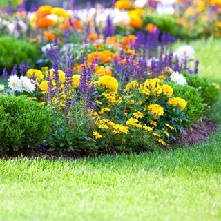 Colorful Garden With Grass
Shutterstock.com
New York, NY