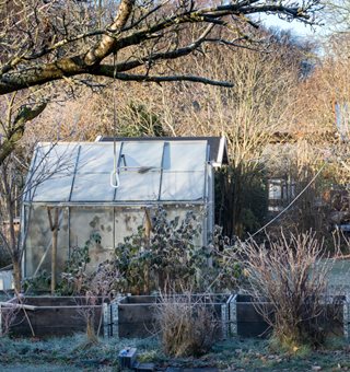 Garden In Winter, Greenhouse
"Dream Team's" Portland Garden
Shutterstock.com
New York, NY