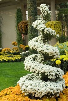 Longwood
Garden Design
Calimesa, CA