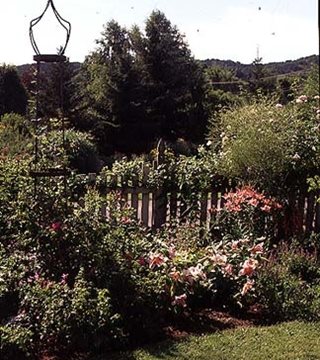 Old Farm Nursery
Lakeville, CT
