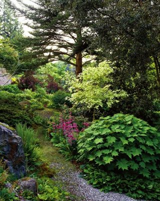 Miller Botanical Garden Seattle
Garden Design
Calimesa, CA