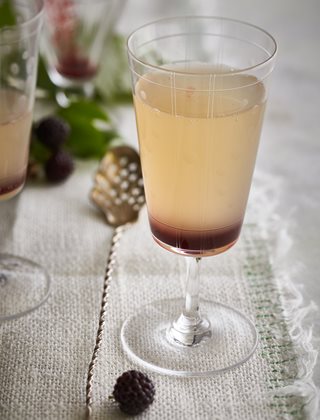 Elderflower Cordial, Black Raspberry Coulis
Garden Design
Calimesa, CA