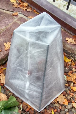 Wrapped Shrub, Winter Protection, Fabric Shutterstock.com New York, NY