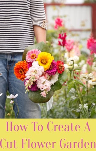 How To Create A Cut Flower Garden
Garden Design
Calimesa, CA