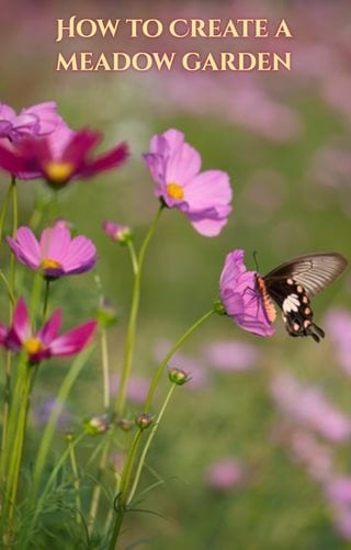 How To Create A Meadow Garden
Garden Design
Calimesa, CA