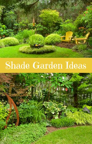 Shade Garden Ideas Photo
Garden Design
Calimesa, CA