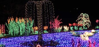 Garden D’lights
Garden Design
Calimesa, CA