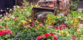 Maine Flower Show, Flower Display
Garden Design
Calimesa, CA