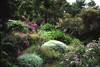 Garden Design
Calimesa, CA