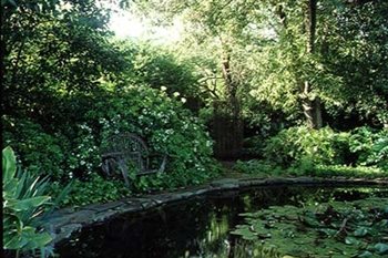 Garden Design
Calimesa, CA
