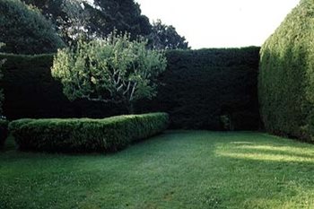Garden Design
Calimesa, CA