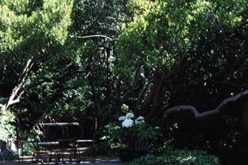 Garden Design
Calimesa, CA