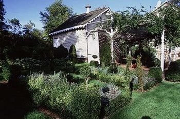Garden Design
Calimesa, CA