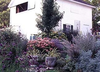 Garden Design
Calimesa, CA