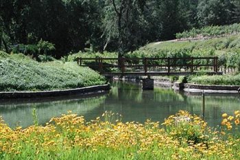 Garden Design
Calimesa, CA
