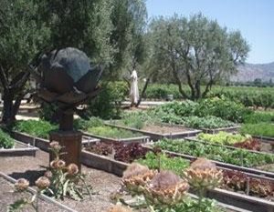 Garden Design
Calimesa, CA