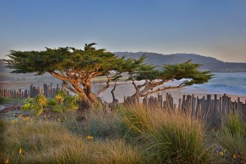 Ground Studio
Monterey, CA