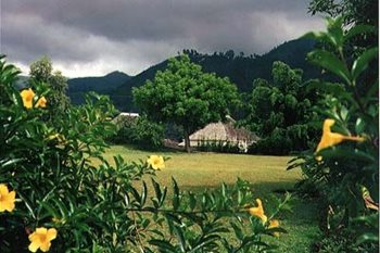 Strawberry Hill
Irish Town, Jamaica