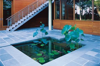 Freshwater Pool
Nelson Byrd Woltz
Charlottesville, VA
