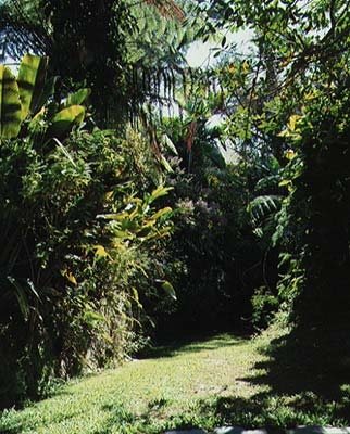 Strawberry Hill
Irish Town, Jamaica