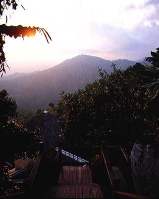 Strawberry Hill
Irish Town, Jamaica