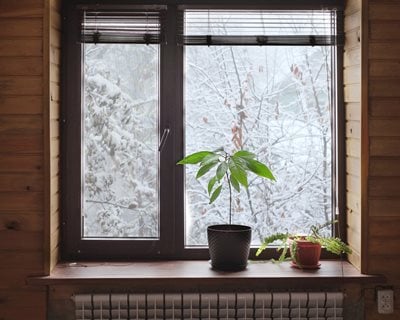 Winter Windowsill With Plants
Shutterstock.com
New York, NY