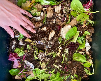thumbnail image 2 of Worms Eat My Garbage: How To Set Up & Maintain A Worm Composting System – 2nd Edition 2 of 3