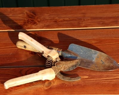 How to Care For Garden Pruners - Garden Therapy