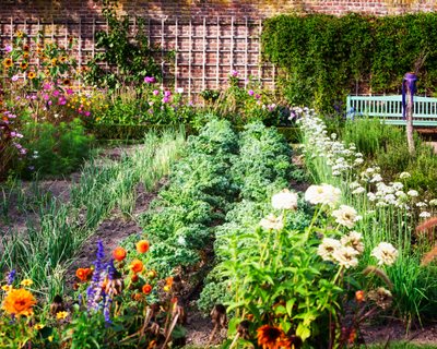 Organic Container Gardening Tips  Ensure Your Harvests are Organic