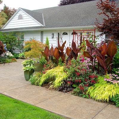 Front Landscape With Cannas And Japanese Forest Grass
"Dream Team's" Portland Garden
Garden Design
Calimesa, CA