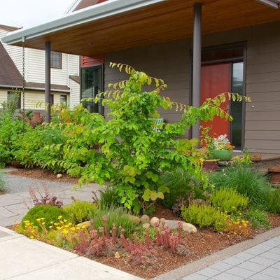 Waterwise Front Yard Landscape
"Dream Team's" Portland Garden
Garden Design
Calimesa, CA
