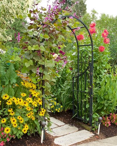 Arched Arbor With Annual Vines, Arbor Over Walkway
"Dream Team's" Portland Garden
Garden Design
Calimesa, CA