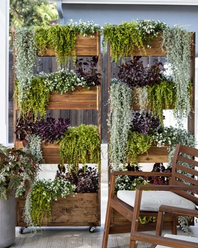 Grow Up: Maximizing Small Spaces with Vertical Hydroponic Gardening