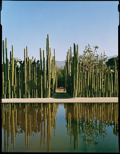 Photos of Jardin Etnobotanico de Oaxaca
Jardin Etnobotanico de Oaxaca
,
