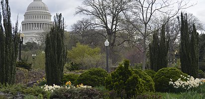 Bartholdi Park With The Capitol Building In The Background
Garden Design
Calimesa, CA