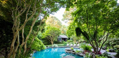 Lomg Island, Pool Garden
Conni Cross Garden Design