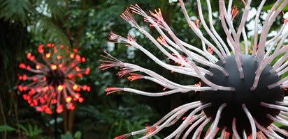 Fiber Optic Flower
Atlanta Botanical Garden
Atlanta, GA