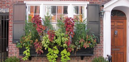 Windowbox Rittenhouse Square
Garden Design
Calimesa, CA