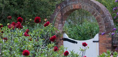 Brick Arch, Herbaceous Border
Garden Design
Calimesa, CA