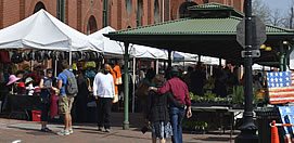 Food, Shopping
Garden Design
Calimesa, CA