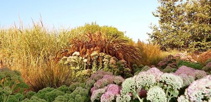 Grasslands Gardens, Seaside Gardens
Seaside Gardens
Carpinteria, CA