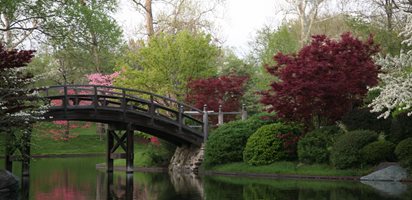 Japanese Garden, Festival
Missouri Botanical Garden
St. Louis, MO