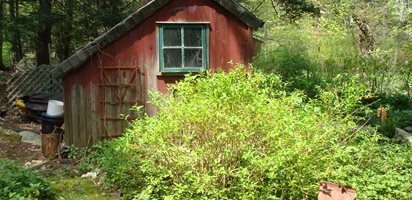 Author Rosemary Harris's Connecticut garden
Garden Design
Calimesa, CA