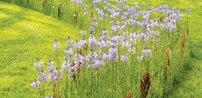 Lessons from Chanticleer
Garden Design
Calimesa, CA