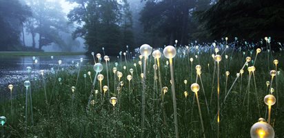 Bruce Munro, Atlanta Botanical Garden, Lighted Flower Stems
Garden Design
Calimesa, CA