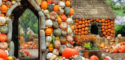 Autumn at the Arboretum: Play, Learn, Create
Garden Design
Calimesa, CA