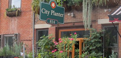 City Planter Storefront Philadelphia
Garden Design
Calimesa, CA