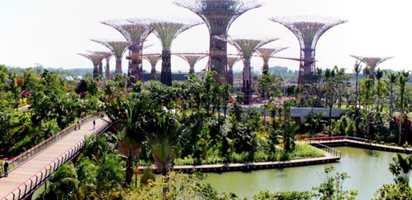 Gardens-By-The-Bay-Supertrees
Garden Design
Calimesa, CA